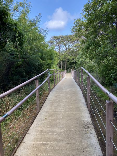 Footpath Construction in Auburn