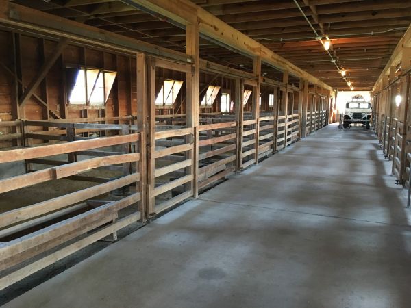 Barn Floor Pouring in Auburn