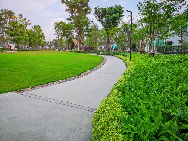 Cement Walkway Service in Auburn