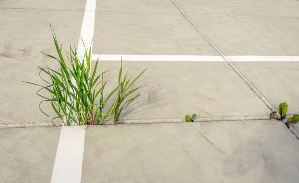 Concrete Parking Installation in Auburn